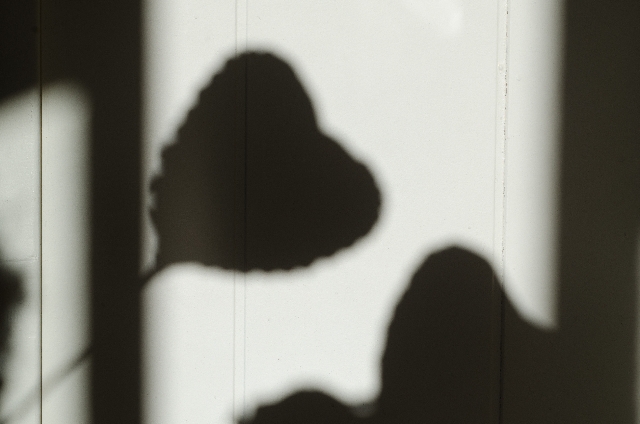 %e3%83%8f%e3%83%bc%e3%83%88%e3%81%ae%e5%bd%b1